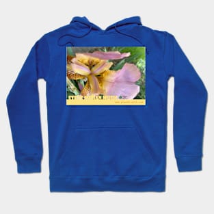 Iris in bloom Hoodie